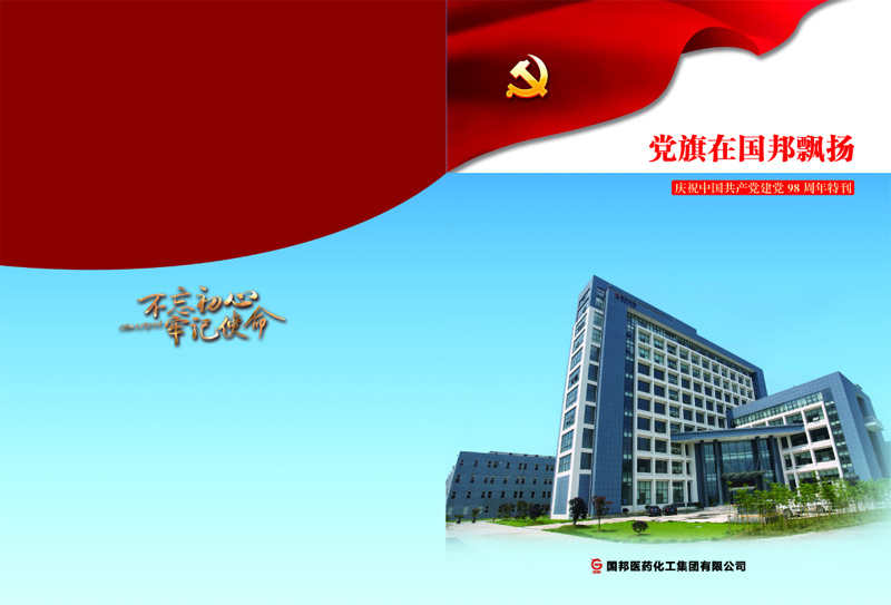 党旗在pa电子飘扬