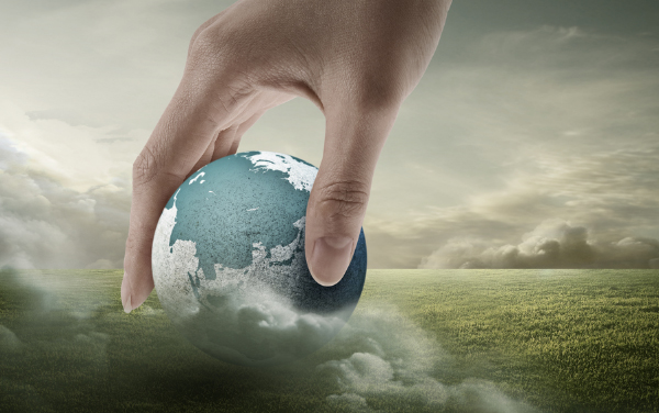 新昌pa电子进出口有限公司